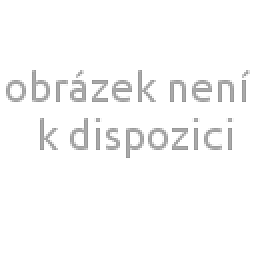 Obrázek pro produkt Homecath READY Hydrofilní katétr pro muže
